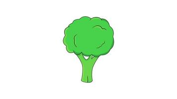 animatie vormen een broccoli icoon Aan een wit achtergrond video