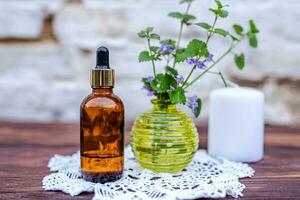 Glechoma hederacea, ground-ivy, gill-over-the-ground, creeping charlie, alehoof, tunhoof, catsfoot, field balm, and run-away-robin, creeping jenny. Cosmetic bottle of oil for body care. photo