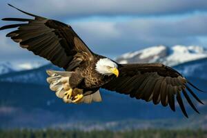 real majestuoso águila. generar ai foto
