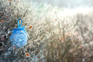 Navidad árbol juguete en el ramas cubierto con escarcha. soleado escarchado clima. preparando para Navidad. perdido juguete. Navidad decoración. nuevo años antecedentes. foto