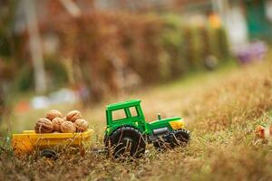 verde tractor lleva nueces en el atrás. juguete tractor con un cosecha de maduro nueces otoño fotófono. foto