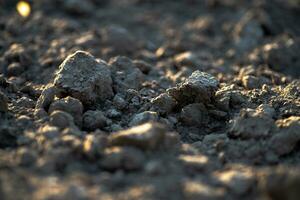 Black earth with sunlit ground mounds. ground before planting seeds and growing vegetables or soybeans. photo