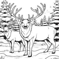 reindeers coloring page vector