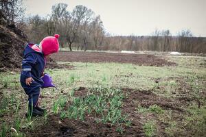 portrait of cute small child outdoors gardening with purple watering photo