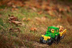 verde tractor lleva nueces en el atrás. juguete tractor con un cosecha de maduro nueces foto