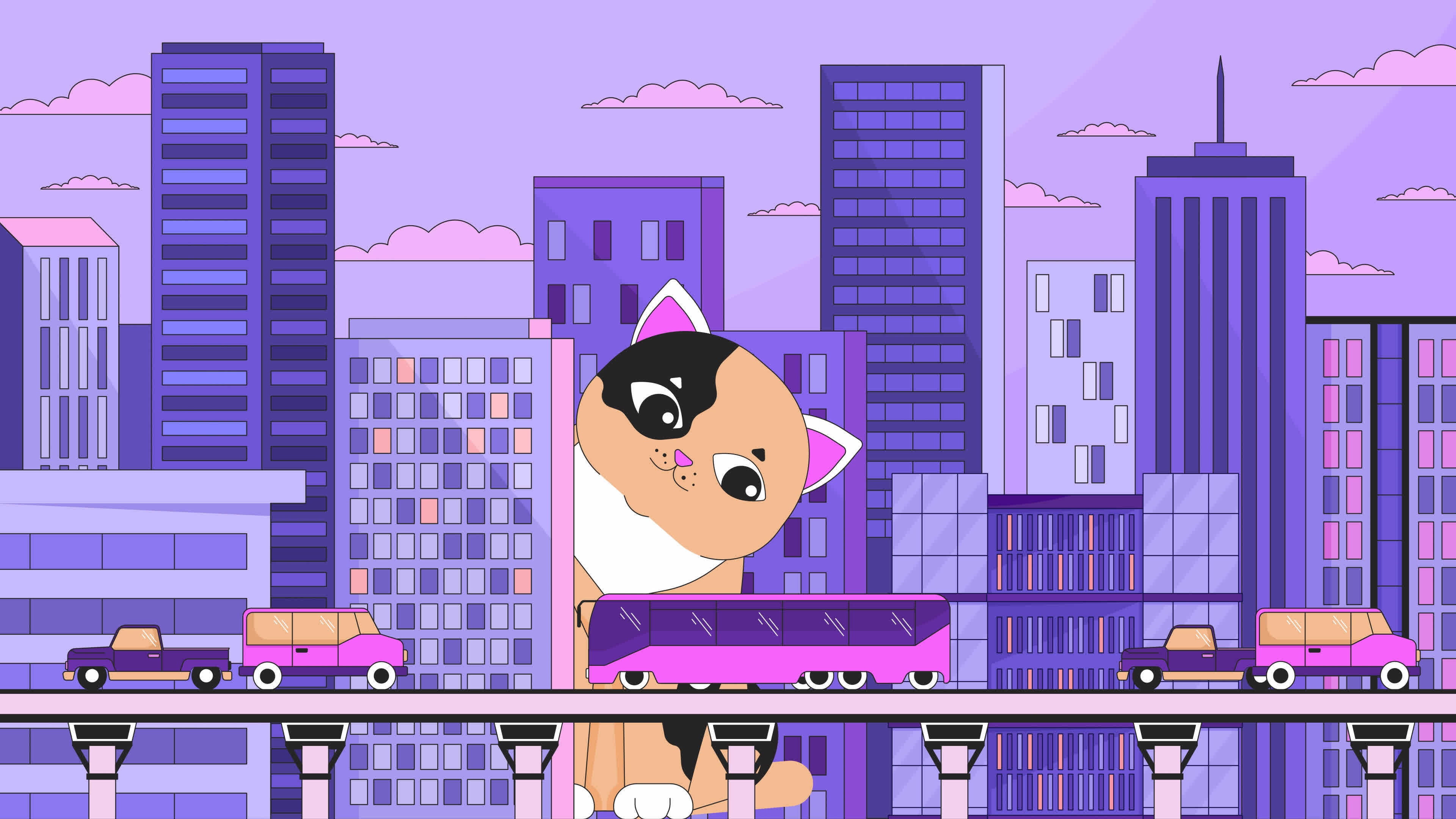 Kitty Highway Newest Collection | alianzafrancesa.edu.co