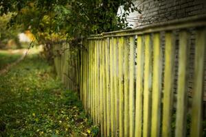 Old wooden green fence. Autumn road in the village. photo