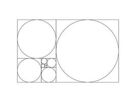 dorado proporción modelo. método dorado sección. fibonacci formación, números. armonía proporción. contorno vector ilustración.