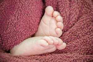 Newborn baby feet under red blanket cover photo