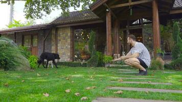 spielen mit das Hund im das Garten. video