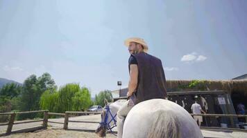 de Mens Aan de wit paard looks in de omgeving van. video