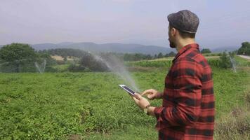 Farmer using tablet looks at his field. video