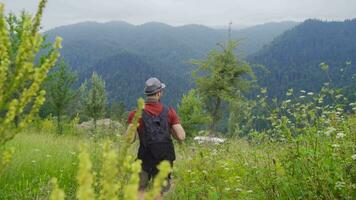 jovem homem caminhada. livre e feliz. video