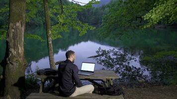 zakenman pratend door telefoon in natuur. video