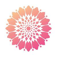 Abstract bright circular graphic flower vector