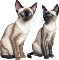 A sketch of a Siamese cat. AI-Generated. png