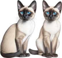 ein skizzieren von ein Siamese Katze. KI-generiert. png