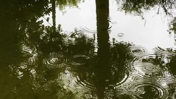 Regen Tropfen auf Wasser Oberfläche video