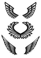 Three images of different pairs of wings vector