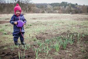 little girl with purple watering in hands stands on swollen bed with sprouted onion. Growing the first greens on ground in early spring. photo