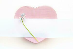 One Fresh blue spring flowers Scilla siberica. on pink heart-shaped box. White stripe for text. Copy space. aster, 8 march, mother's day, St. Valentine spring background photo