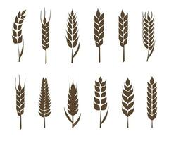 Set of silhouettes of ears of wheat vector