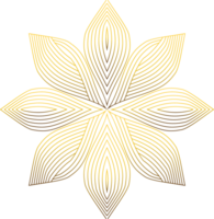 lusso d'oro fiore petalo png