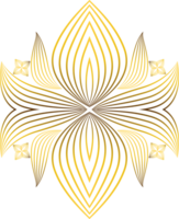 lusso d'oro fiore petalo png