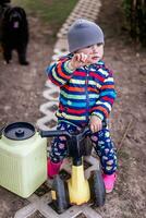 little girl on a jogger in the background of backyard of the house. child in the yard with a black dog. Transport for children 1 year old. photo