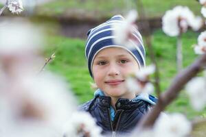 Portrait of a little boy among cherry blossoms in spring. A child on a walk hides behind a bush. Hide and seek in nature. photo