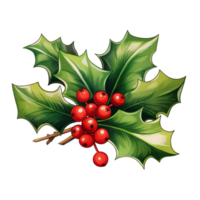 Christmas holly tree branch realistic Ai Generative png