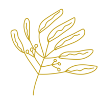 Gold leaf line png