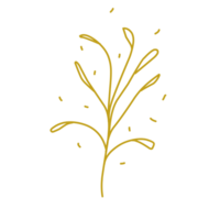 Gold leaf line png