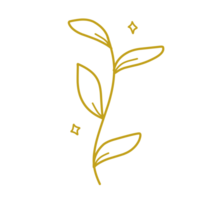 Gold leaf line png