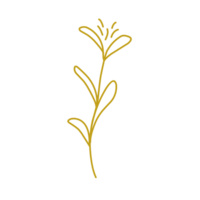 Gold leaf line png