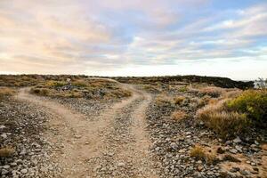 two dirt roads in the desert with clouds in the background photo