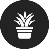 Spider Plant Vector Icon