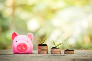 rosado cerdito banco y apilar de monedas con plantas creciente arriba para negocio inversión o ahorro concepto foto