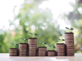 plantas creciente arriba en apilar de monedas el concepto de ahorro dinero, financiero, inversión y negocio creciente. foto