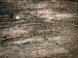 Old wood wall texture background, Wood plank texture photo