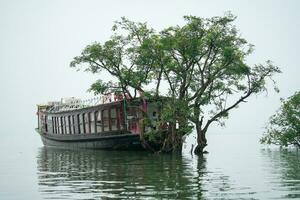 15th August 2023 Tanguar Haor, Sunamganj, Sylhet, Bangladesh. Boathouse on the haor photo