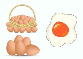 Fresh eggs in a basket isolated on white background. vector