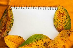 Blank calendar sheet with fall mount framed with autumn leaves on yellow textile background photo