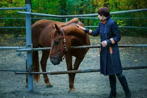 A woman is stroking a bay horse. The horse turned away from the woman trying to stroke him. photo