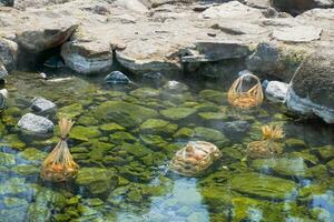 una canasta de huevos para turistas que se hierven en agua caliente mineral y natural en el parque nacional chae son, lampang, tailandia. foto