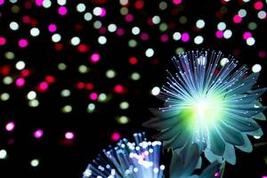 Closeup lighting flowers with light glowing up on colorful blurred and bokeh on night time background photo