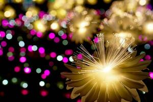 Closeup lighting flowers with light glowing up on colorful blurred and bokeh on night time background photo