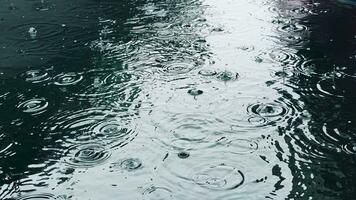 regen druppels Aan water oppervlakte video