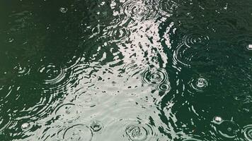 chuva gotas em água superfície video