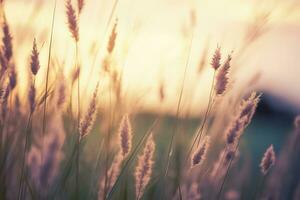 Wild grass in the forest at sunset. Abstract summer nature background. Generative AI photo